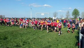 开云体育在线-青少年体育锻炼促进策略与实践，青少年体育锻炼方案