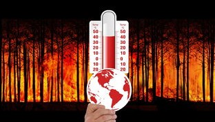 kaiyun-新加坡队的未来发展：在全球乒乓舞台上塑造更强大的团队，新加坡乒乓球厉害吗