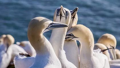 开云体育平台-广东队积极备战季后赛争取最佳名次，广东队季后赛战绩