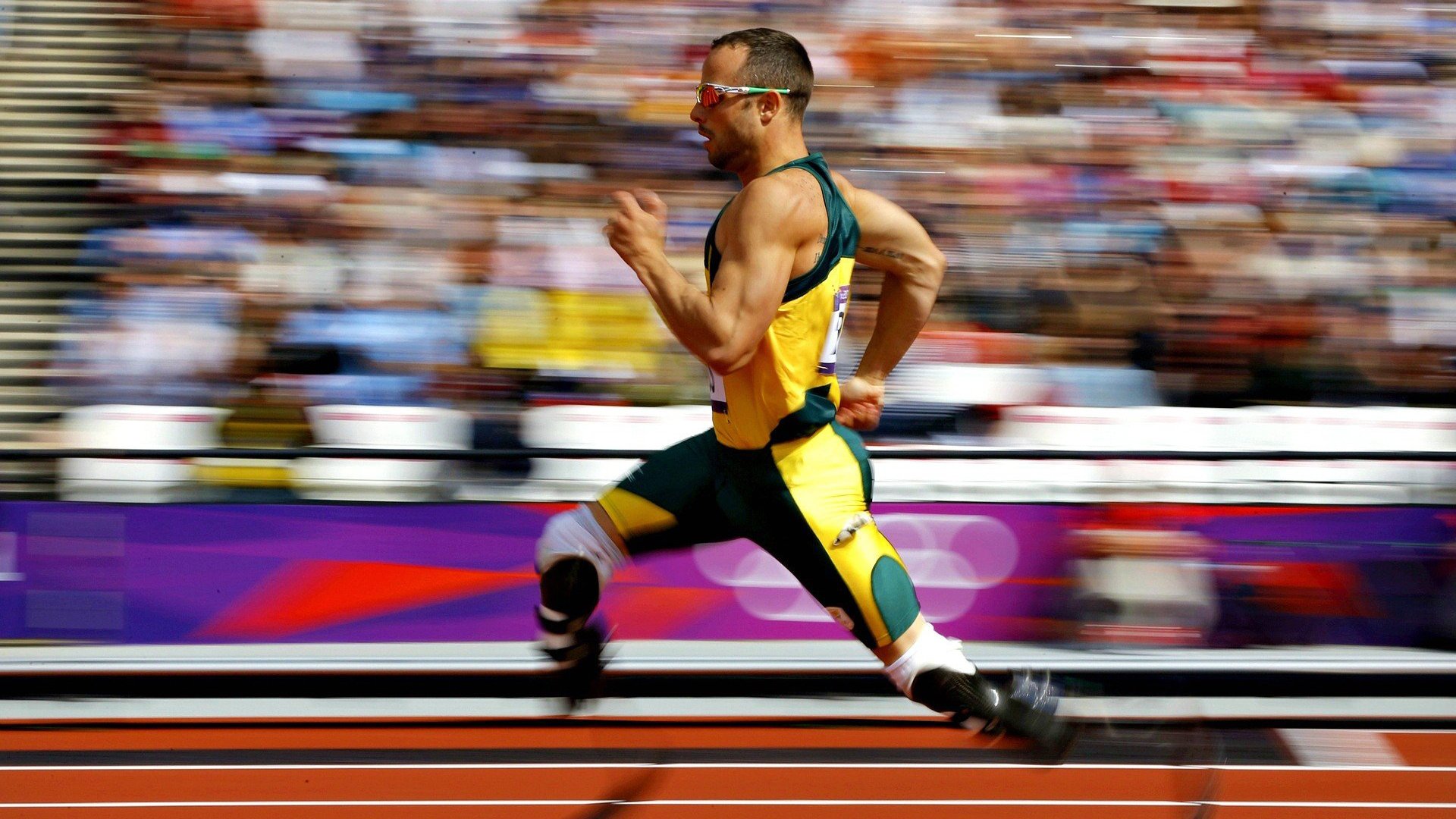 体育新闻中心协办全国体育数字内容应用大会,体育数字化